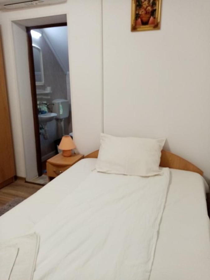 Pensiunea Oana Hotel Balc Екстериор снимка