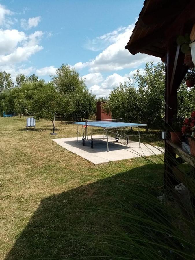 Pensiunea Oana Hotel Balc Екстериор снимка
