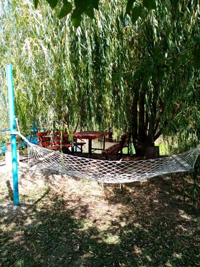 Pensiunea Oana Hotel Balc Екстериор снимка