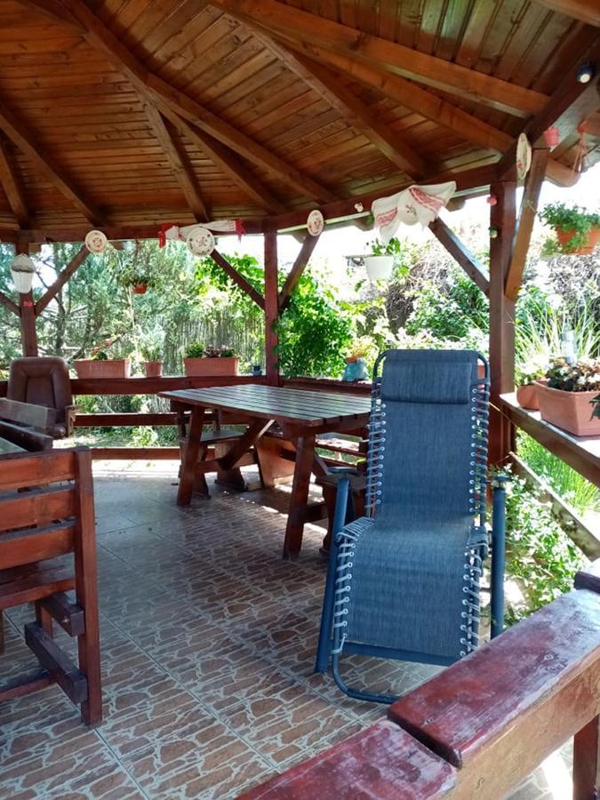 Pensiunea Oana Hotel Balc Екстериор снимка