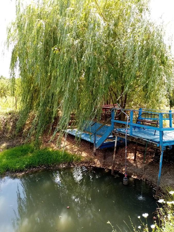 Pensiunea Oana Hotel Balc Екстериор снимка
