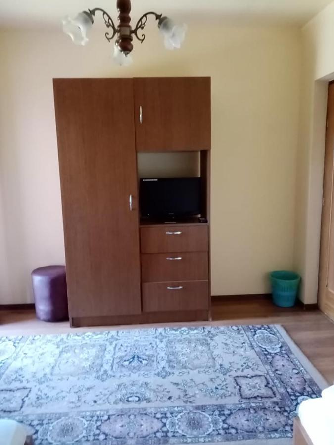 Pensiunea Oana Hotel Balc Екстериор снимка