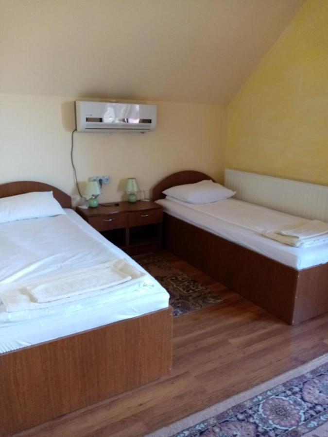 Pensiunea Oana Hotel Balc Екстериор снимка