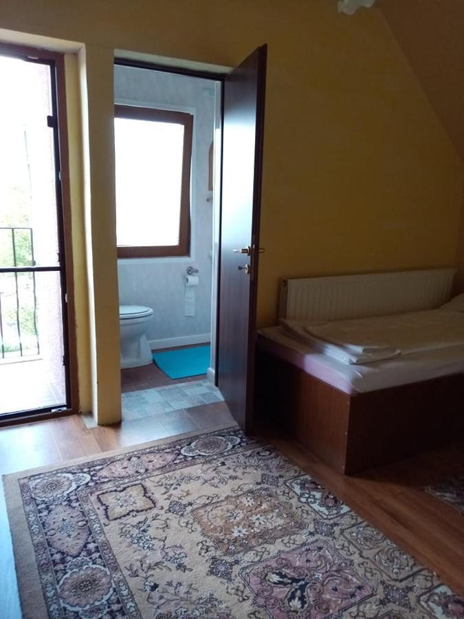 Pensiunea Oana Hotel Balc Екстериор снимка