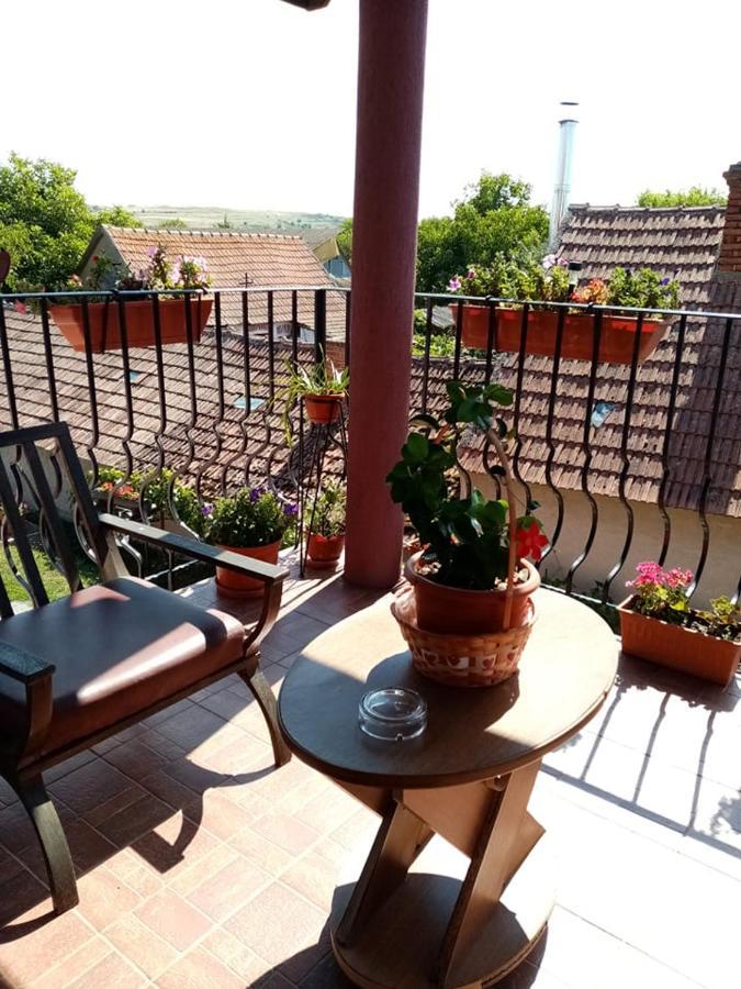 Pensiunea Oana Hotel Balc Екстериор снимка