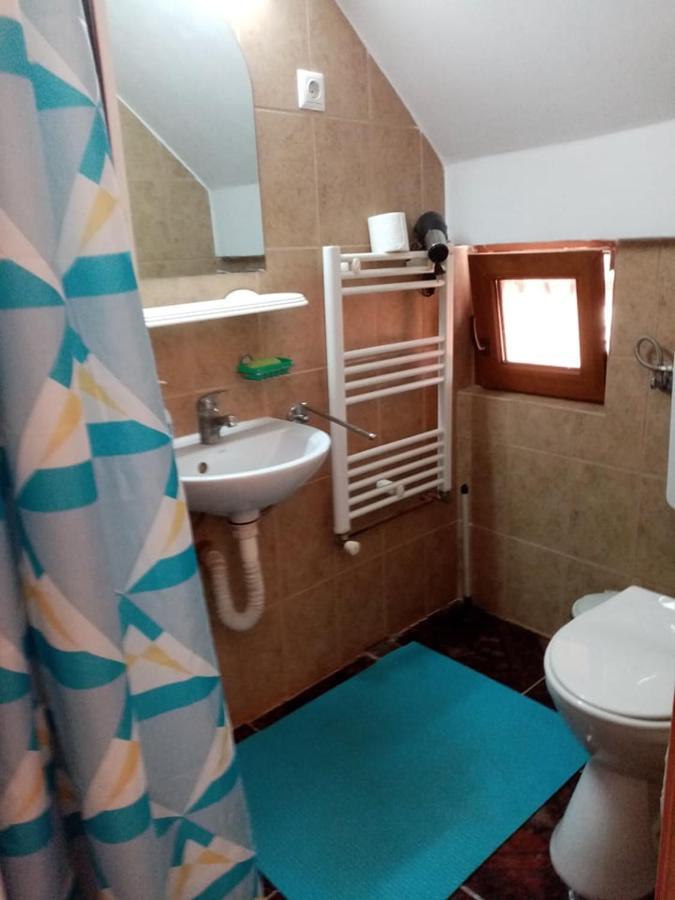 Pensiunea Oana Hotel Balc Екстериор снимка