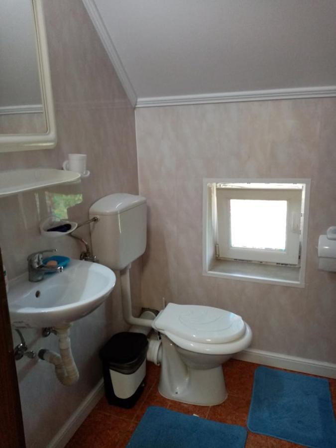 Pensiunea Oana Hotel Balc Екстериор снимка