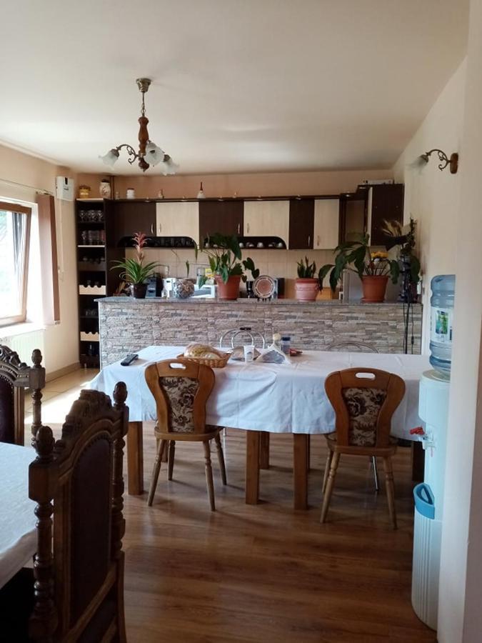 Pensiunea Oana Hotel Balc Екстериор снимка