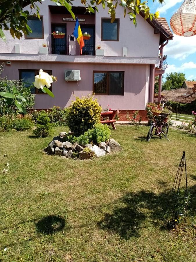 Pensiunea Oana Hotel Balc Екстериор снимка