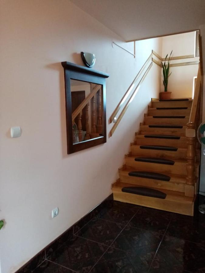 Pensiunea Oana Hotel Balc Екстериор снимка