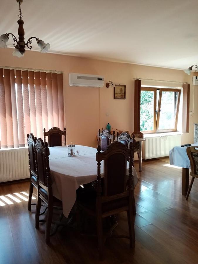 Pensiunea Oana Hotel Balc Екстериор снимка