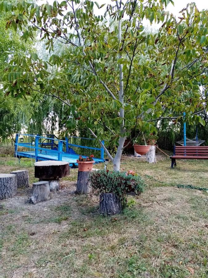 Pensiunea Oana Hotel Balc Екстериор снимка