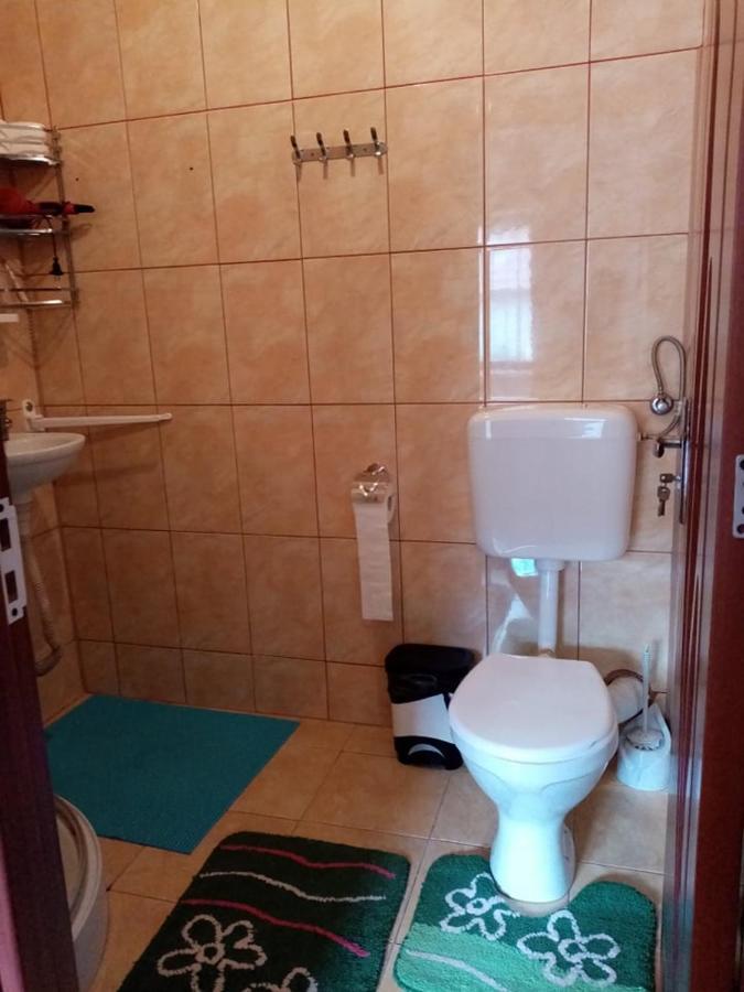 Pensiunea Oana Hotel Balc Екстериор снимка