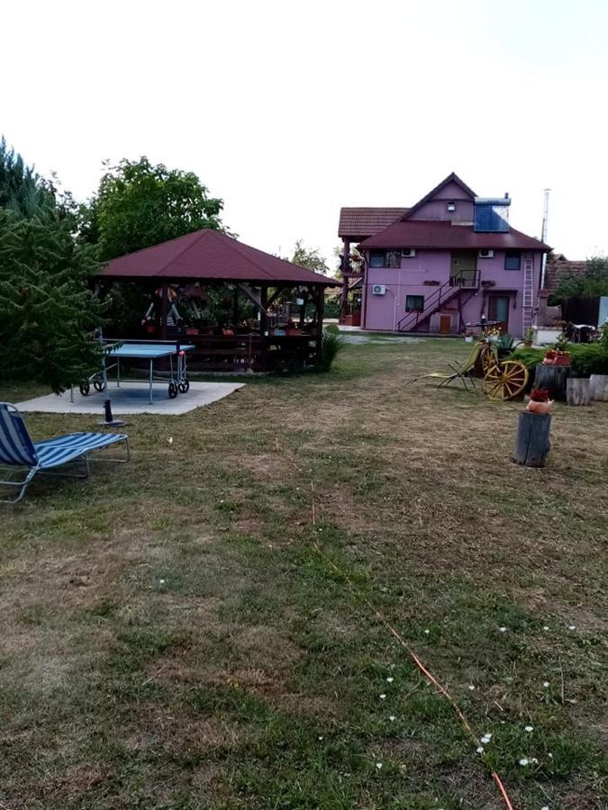 Pensiunea Oana Hotel Balc Екстериор снимка